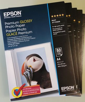 Фотопапір Epson A4 Premium Glossy Photo Paper 255г/м², 50арк. C13S041624 фото