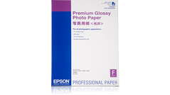 Фотопапір Epson Premium Glossy Photo Paper A2, 25арк., 255г/м&sup2; C13S042091 фото