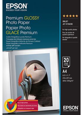 Фотопапір Epson A4 Premium Glossy Photo Paper, 20арк. C13S041287 фото